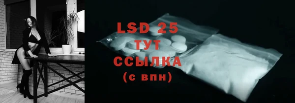 СК Новозыбков