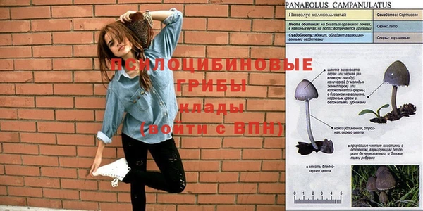 экстази Бутурлиновка