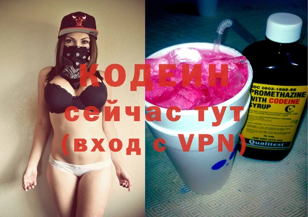 дмт Новодвинск