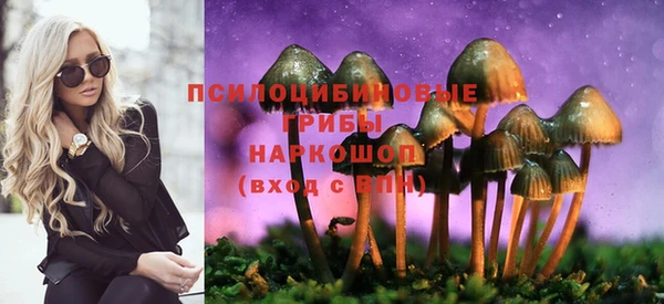 2c-b Нефтегорск