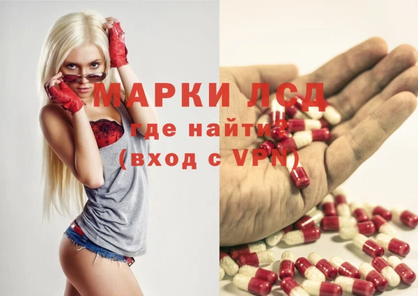 СК Новозыбков