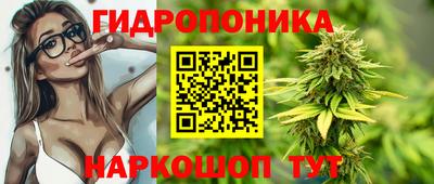 a pvp Волжск