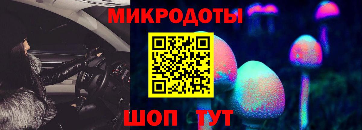 Галлюциногенные грибы Cubensis Кирово-Чепецк